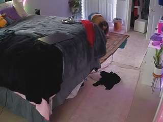 voyeurcam-house-charleys-room live cam profile