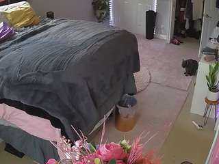 voyeurcam house charleys room