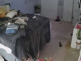 voyeurcam-house-charleys-room Strip live webcam