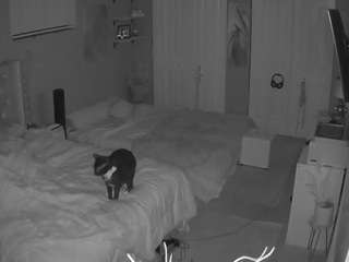 voyeurcam house charleys room