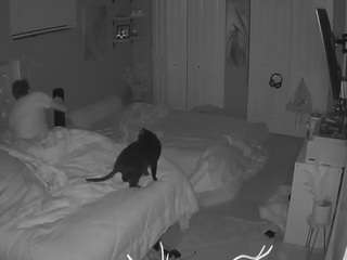 voyeurcam house charleys room