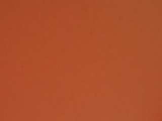 voyeurcam-house-charleys-room's CamSoda show and profile