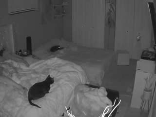 voyeurcam-house-charleys-room