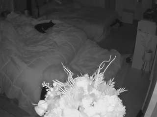 voyeurcam-house-charleys-room