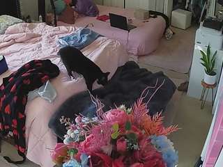 voyeurcam-house-charleys-room Live Webcam on CamSoda