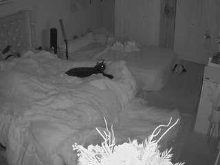 voyeurcam-house-charleys-room