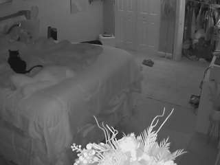voyeurcam-house-charleys-room webcam model