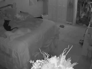 voyeurcam house charleys room
