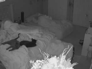 voyeurcam-house-charleys-room