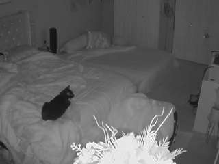 voyeurcam-house-charleys-room