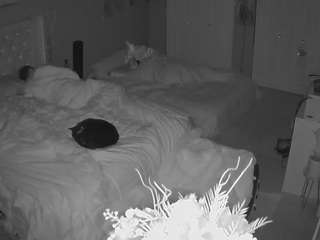 voyeurcam-house-charleys-room