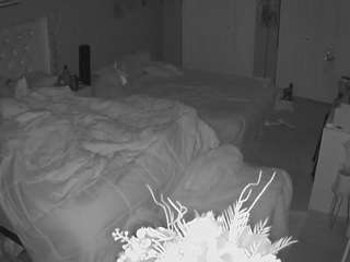 le modèle voyeurcam-house-charleys-room est en webcam porno dans un show sur le site camsoda, il possède les tags suivants: ass,pawg,wet,voyeur,thick,tease,strip,squirter,spank,sex,pussy,pov,orgasm,asshole,masturbation,handjob,flashing,fingers,dildo,cum