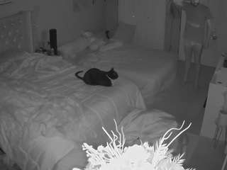 voyeurcam house charleys room