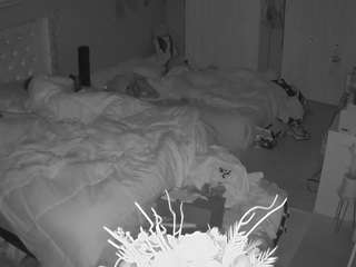 voyeurcam-house-charleys-room webcam