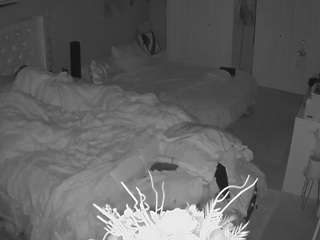 voyeurcam house charleys room