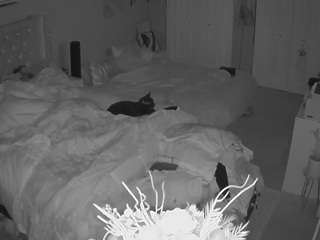 voyeurcam house charleys room