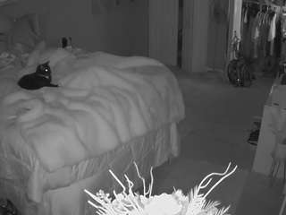 voyeurcam house charleys room