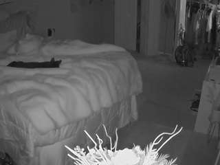 voyeurcam-house-charleys-room