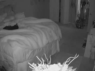 voyeurcam house charleys room