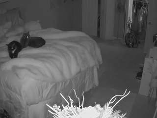 voyeurcam house charleys room