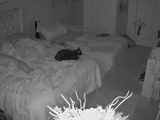 voyeurcam-house-charleys-room