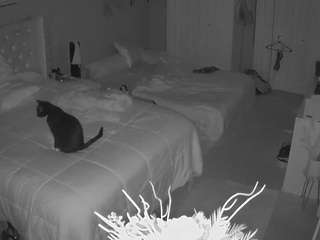 voyeurcam house charleys room