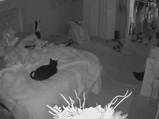 voyeurcam house charleys room