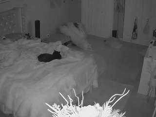 voyeurcam house charleys room