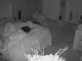 voyeurcam house charleys room