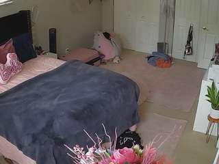voyeurcam-house-charleys-room webcam model