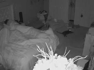 voyeurcam-house-charleys-room