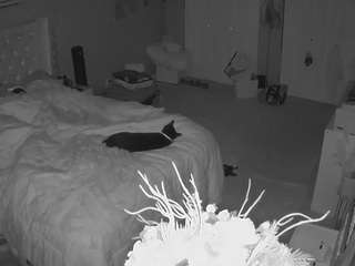 voyeurcam-house-charleys-room