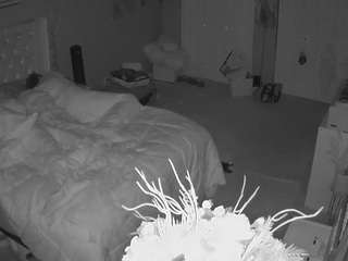 voyeurcam-house-charleys-room