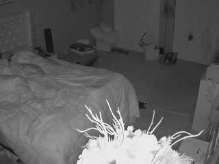 voyeurcam-house-charleys-room