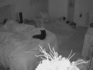 voyeurcam-house-charleys-room