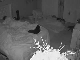 voyeurcam-house-charleys-room