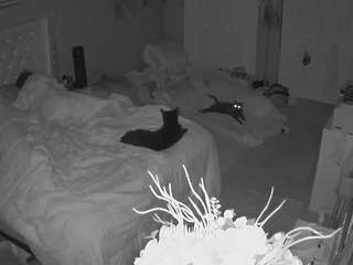 voyeurcam-house-charleys-room