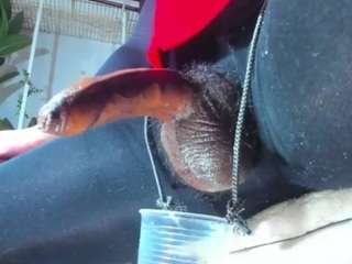 velenxbigass