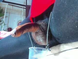 velenxbigass