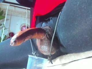 velenxbigass