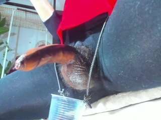 velenxbigass