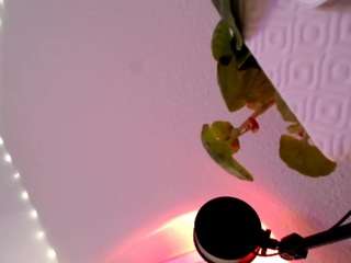 seductiveprincess webcam