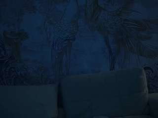 DariaDeli live webcam show