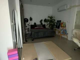 flexy-cat webcam