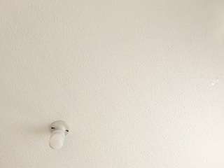 jaaadeee's live room