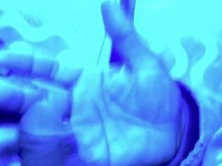 flexonaier