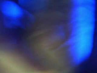 flexonaier webcam model