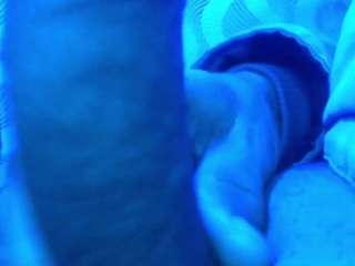 flexonaier Hd live webcam