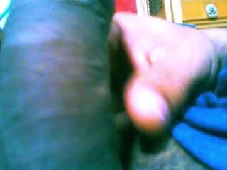 flexonaier live cam profile