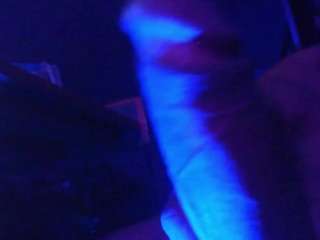 flexonaier live cam profile